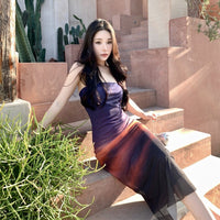 Sexy Spicy Girl Style Mesh Party Dress Holiday Beach Skirt