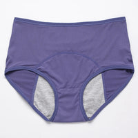 Menstrual Briefs Leak Proof Incontinence Environmetal Underwear Period Panties High Warm Female Women Sexy Pants