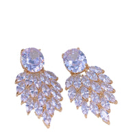 Fashionable and sophisticated temperament earrings