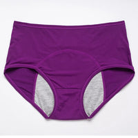 Menstrual Briefs Leak Proof Incontinence Environmetal Underwear Period Panties High Warm Female Women Sexy Pants